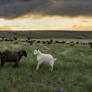 后仰式口爆喉咙最快恢复方法
