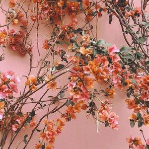 后仰式口爆喉咙最快恢复方法
